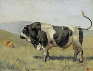 Freiburg Bull